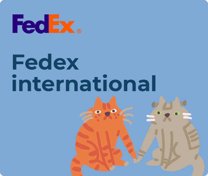 fedex international